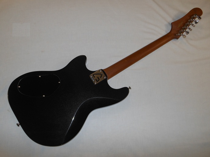 Surfliner Deluxe Picture 2